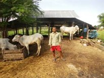 May 2013 Update Image 7